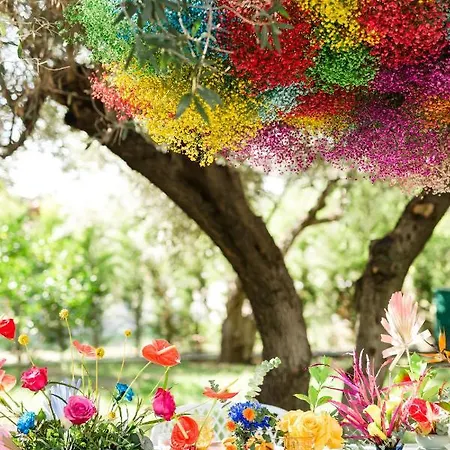 Mariya Art Living Appartement