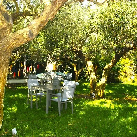 Mariya Art Living Nea Skioni