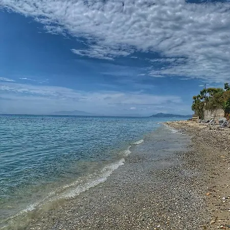 Апартаменты Mariya Art Living Неа-Скиони