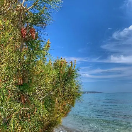 شقة Mariya Art Living نيا سكيوني