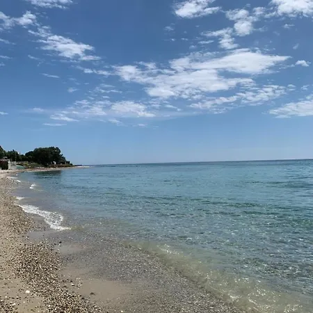 Mariya Art Living * نيا سكيوني