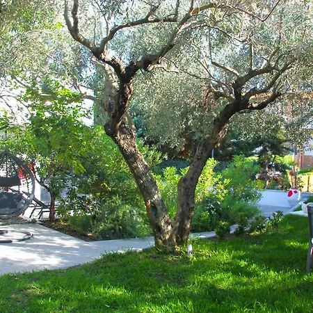 شقة Mariya Art Living